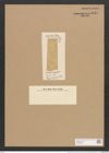 Mastogloia elongata Lend.-Fortm. (de-Toni-Nr.: Genus 26, Species 1290) Zeichnungen Sammlung Grunow Nr. 2454 (NHMW-BOT-W0369625)